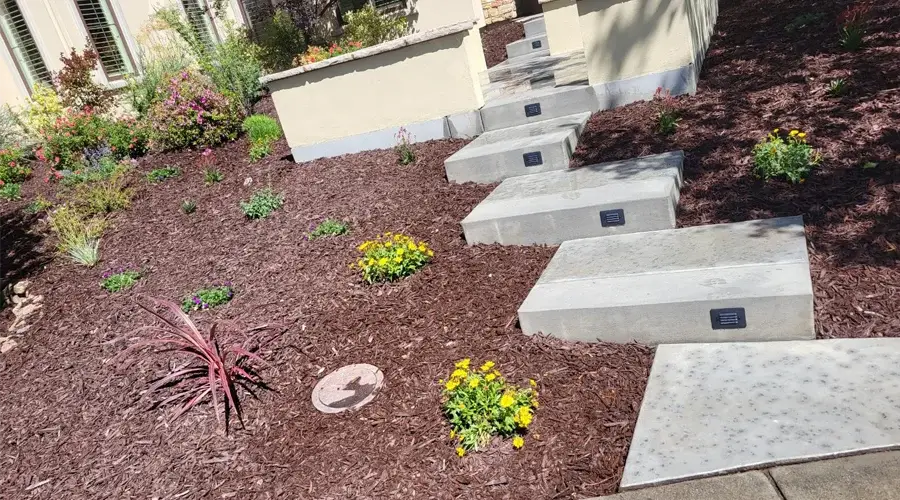 Stylish concrete steps leading to a home, surrounded by vibrant landscaping and mulch, showcasing decorative finishes and integration with outdoor features.