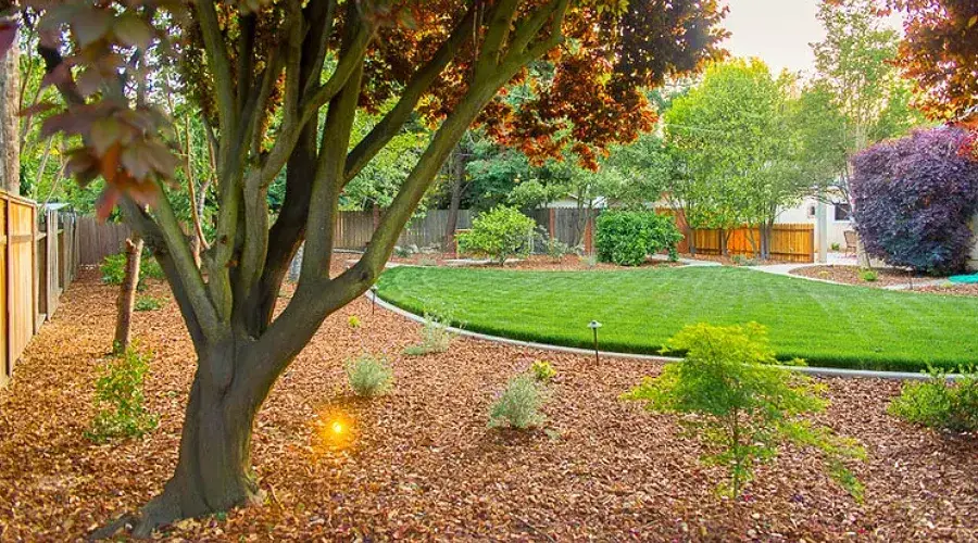 Residential landscaping featuring a lush green lawn, mulch beds, and a mature tree, showcasing a harmonious outdoor space designed for sustainability and beauty.