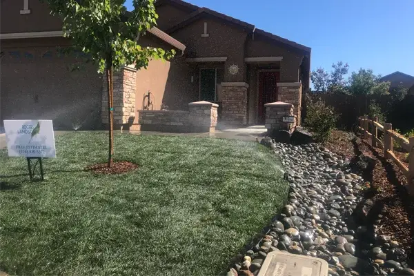 Irrigation system in residential landscape featuring green grass, stone border, and a tree, highlighting Rogers Landscape's irrigation and drainage services for sustainable outdoor living.