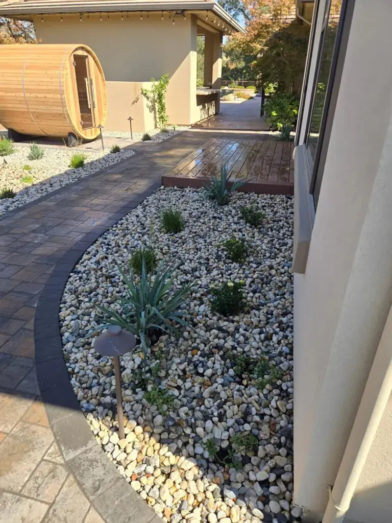 Eco-friendly landscaping featuring a stone pathway, decorative stones, and low-maintenance plants, enhancing outdoor aesthetics and promoting sustainable design principles.