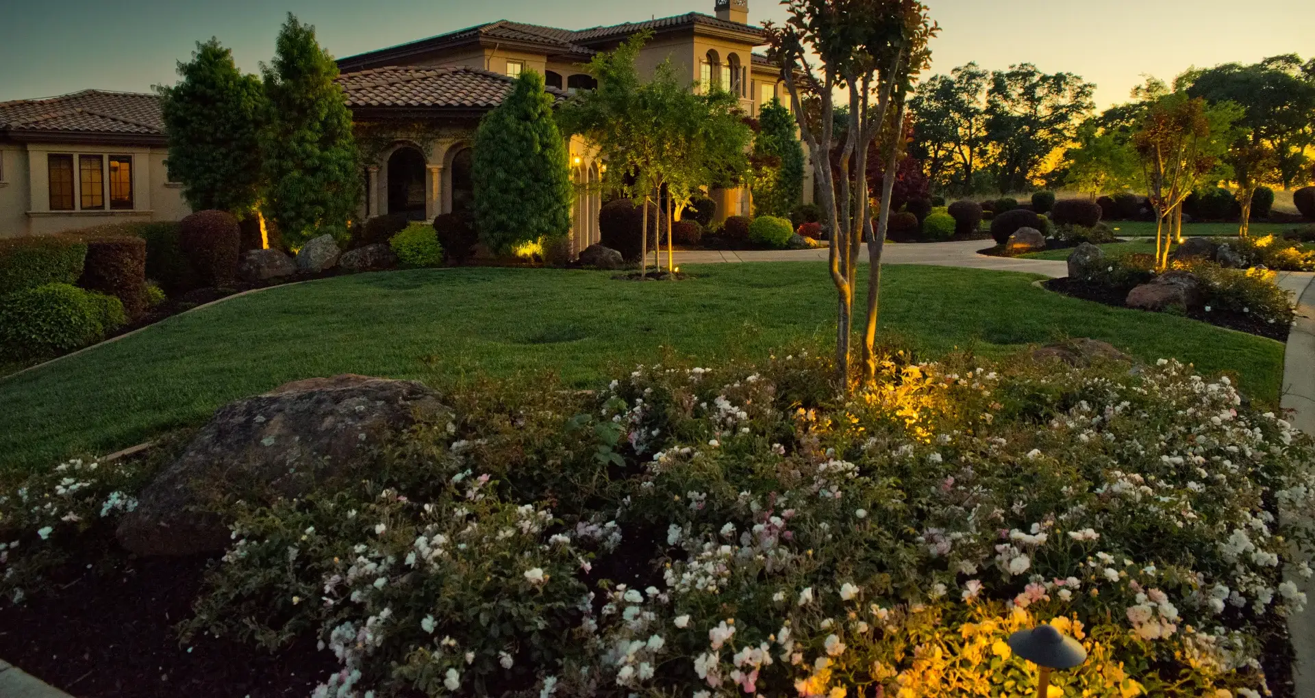 Professionally designed landscape with lawn, plantings, and low-voltage lighting in Loomis, CA.
